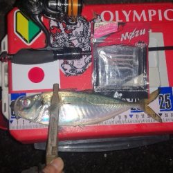 アジング練習　279