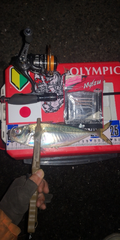 アジング練習　279