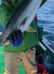 知り合いの船で青物狙い！