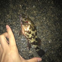 小雨が降る中の釣り