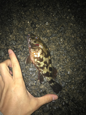 小雨が降る中の釣り