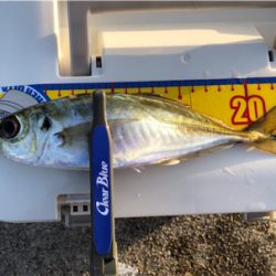 大きさは十分だけど