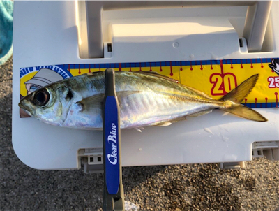 大きさは十分だけど