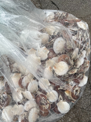 今シーズン最初のオフショア