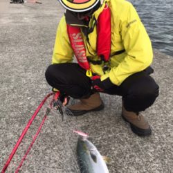 強風だったけど