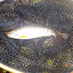 雨って聞いてないし