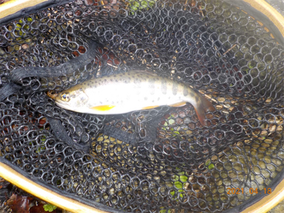 雨って聞いてないし