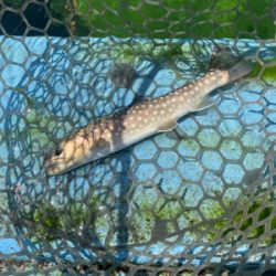 栃木市総合運動公園フィッシングフィールド