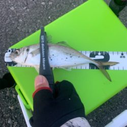 Newタックル入魂釣行♪