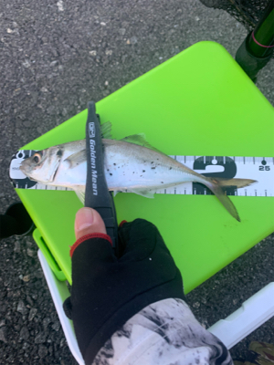 Newタックル入魂釣行♪