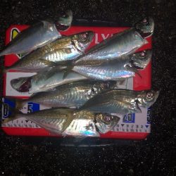 アジング練習　282　21カルディアFC LT1000S