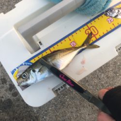 今日も仕事ですが…