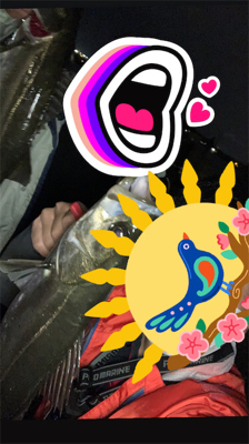 バチシー厳しめ