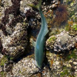 2連チャンで！！