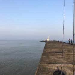 三国突堤シーバス