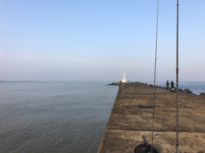 三国突堤シーバス