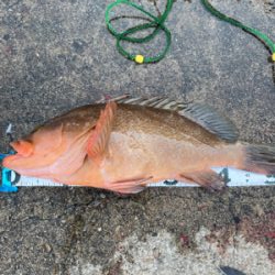 いつものポイント