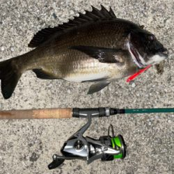 バチ抜けでまさかの‥