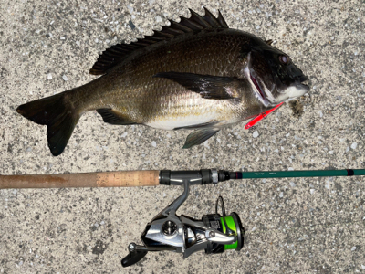 バチ抜けでまさかの‥