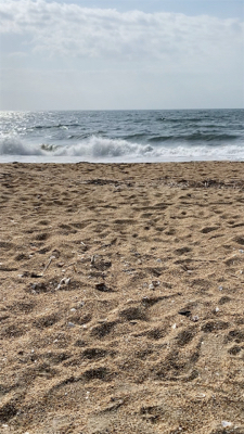 シーズン始まったかな。