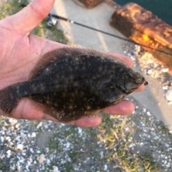 久しぶりの投稿