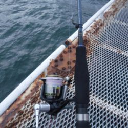 虫ヘッドでもダメでした