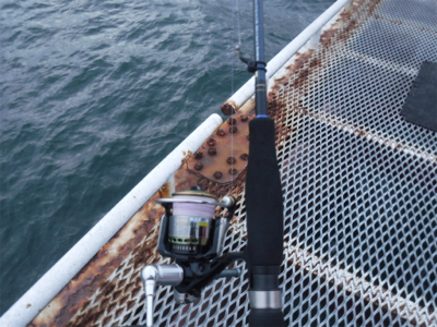 虫ヘッドでもダメでした