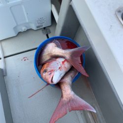 丹後沖タイラバ&ジギング