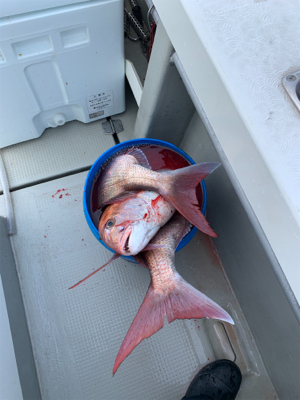 丹後沖タイラバ&ジギング