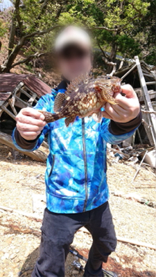 癒やしのカサゴ釣り