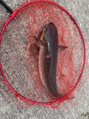 本命とは出会えず…