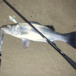 由良川河口にて