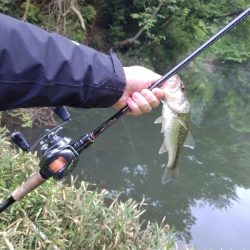子バスも元気です