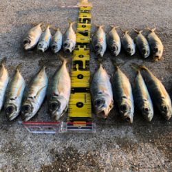 めっちゃ久々ツヌケたよ