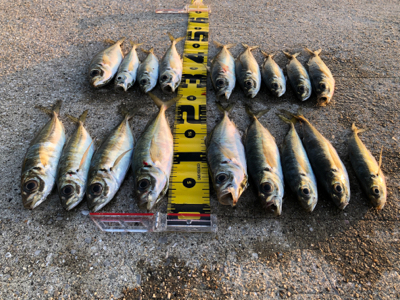 めっちゃ久々ツヌケたよ