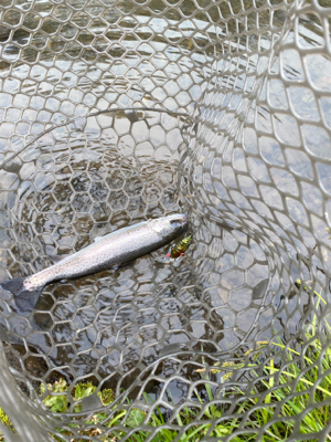 黒保根渓流フィッシング