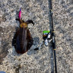 イカ釣り