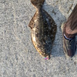 一瞬のチャンス