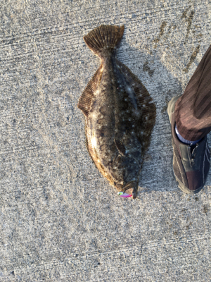 一瞬のチャンス