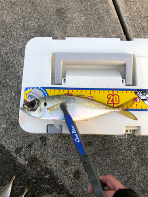 ベスポジ入れず