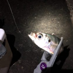 Newタックル釣行!