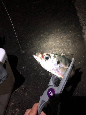 Newタックル釣行!