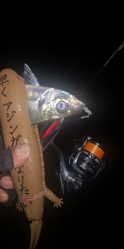 アジング練習　288　ゴーセン　ホンテロンエステルリーダー