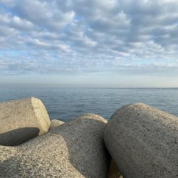 メバルいるかなー?