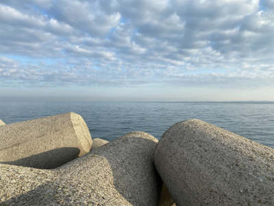 メバルいるかなー?