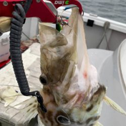 激シブジギング