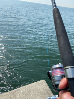 メジハラ参戦!!