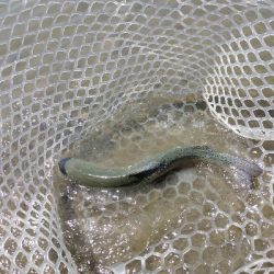 アルクスポンド宇都宮にて