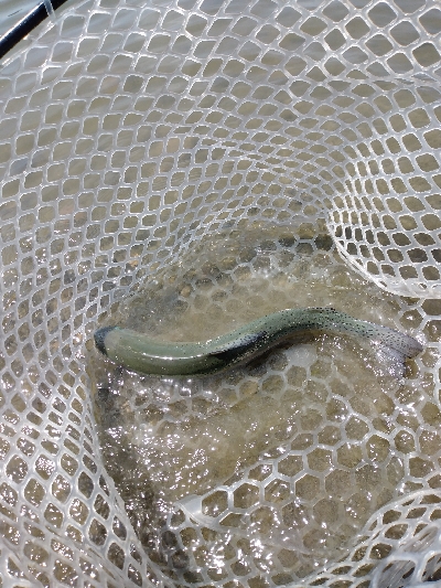 アルクスポンド宇都宮にて