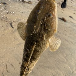 ラッキーです。